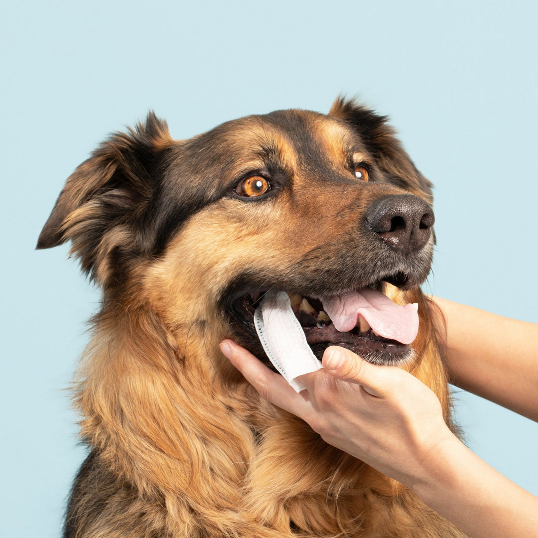 Natural Pet Dental Finger Wipes for Easy Teeth Cleaning