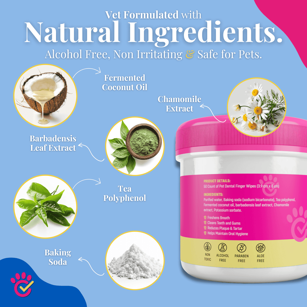 Natural Pet Dental Finger Wipes for Easy Teeth Cleaning